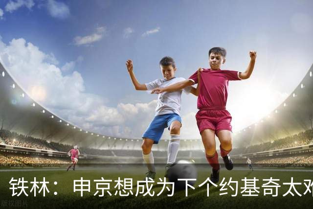 铁林：申京想成为下个约基奇太难了 火箭频繁变动影响了他的性格